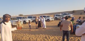 Dubai Desert 4x4 Dune Bashing, Self-Ride 15min ATV Quad, Camel Ride, Shows, Dinner