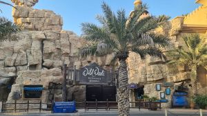 Parque aquático Wild Wadi dubai + transfer